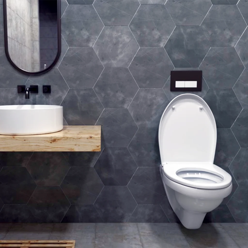 Hiline Home Modifications bidets