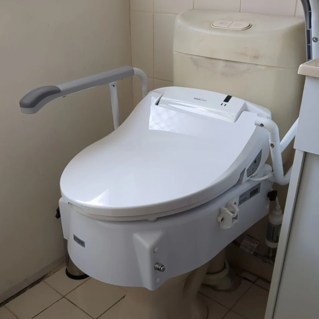 Hiline Home Modifications - Throne Toilet support arms