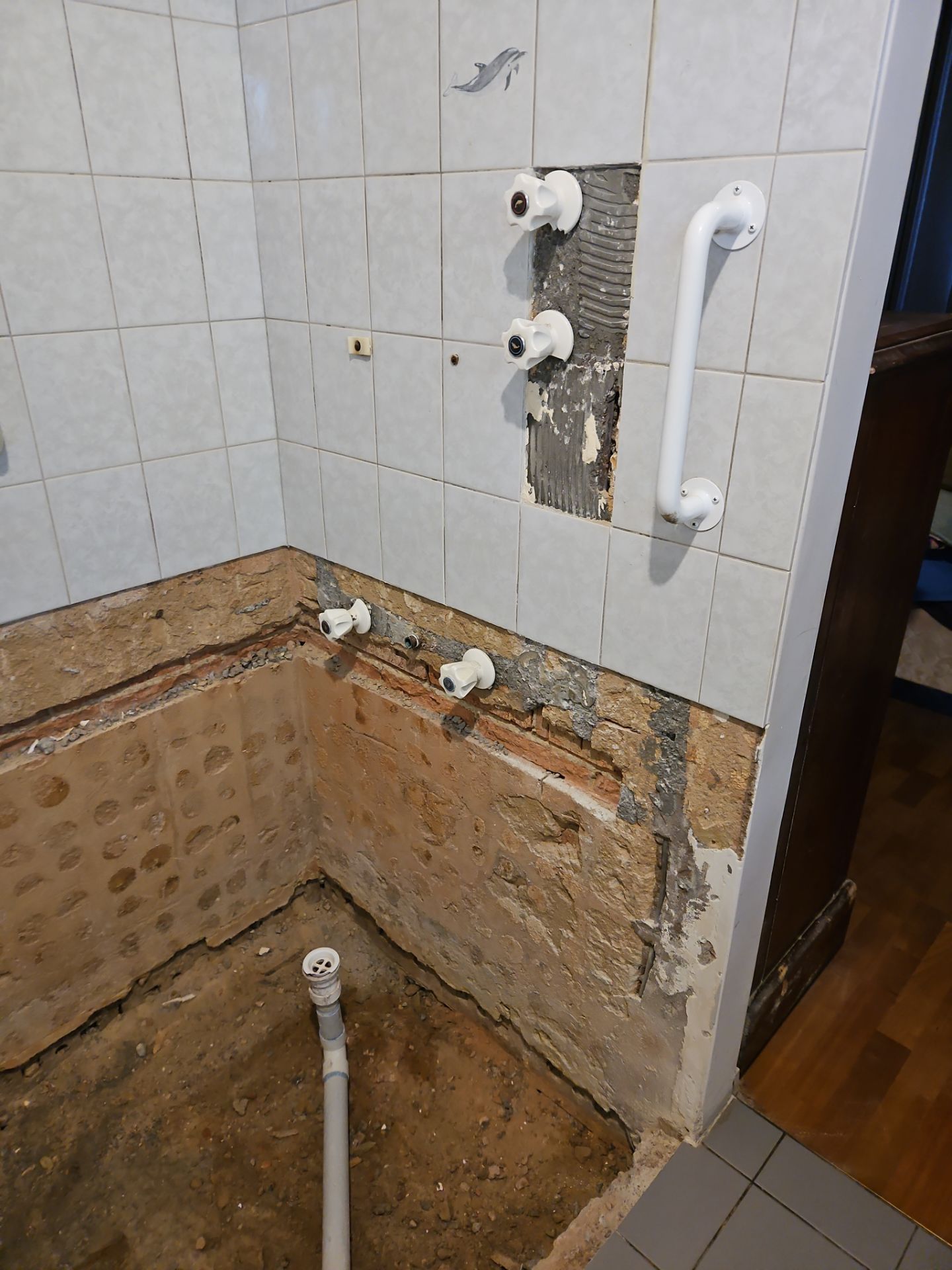 Before Image