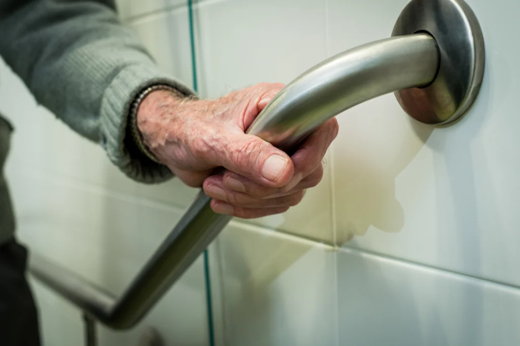 Hiline Home Modifications - Grab bars